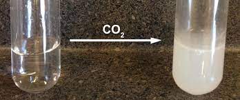 Reacting Carbon Dioxide With Lime Water