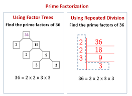 Prime Factorization Using Repeated Division Solutions