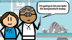 Veterinary assistant duties & responsibilities. How To Become A Veterinary Assistant Requirements Duties Skills