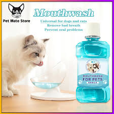 cats dog mouthwash cat care