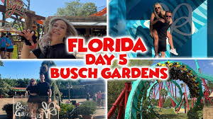 florida day 5 busch gardens ta