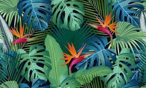 tropical wallpaper images browse 1