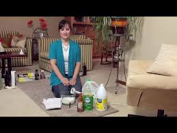 carpet cleaning without using soap or
