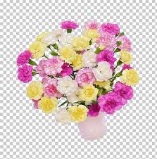 Cut Flowers Floral Design Png Clipart Annual Plant