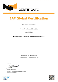 Sap Global Certificate 2