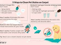 old pet stains from carpet