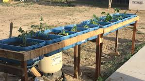 Raised Garden Beds Diy