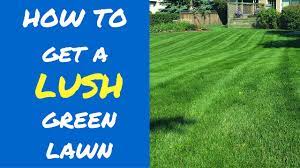 5 Tips To A Lush Green Lawn - YouTube