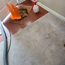 a carpet stains until a carpet cleaner