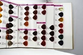 China Hair Color Chart Intao Fabio Brand Agents Wanted
