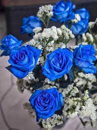 blue roses and spiritual meaning