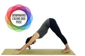 Yoga is primarily an art and science of spirit physical health is the basic thing that is required for success or to achieve anything great. 15 Yoga Poses To Try For Belly Fat And Flat Stomach Possible
