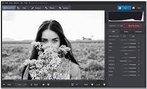 how to make a picture black and white