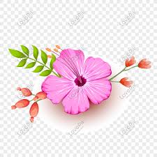 Beautiful flowers pictures free download free wallpaper download clip. Beautiful Flowers Vector Download Png Images Picture Free Download Lovepik