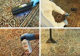 rug carpet cleaning sanitizing