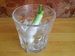 Tip: zet lenteui in een glas met water