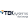 Tek Systems logo