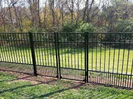 Plants To Keep Dogs Away From Fence