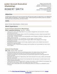 To seek employment in a well performing organization that will allow me to add value to its operations through consistent hard work and dedication and enhance my knowledge as well as personal growth. Junior Account Executive Resume Samples Qwikresume
