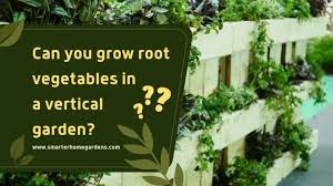 Can You Grow Root Vegetables In A