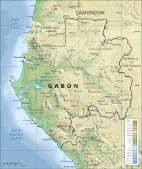 #gabon imothep vladimir moubamba fait des grandes révélations sur la mort d'ali bongo. Geography Of Gabon Wikipedia