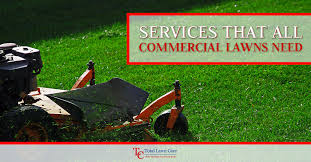 If you charged the client $30 to mow that lawn, than you made $30 per man hour. Commercial Lawn Care Lawrenceville Services All Commercial Lawns Need