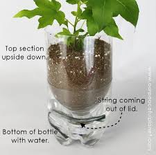 Self Watering Planters 20 Diy Ideas To