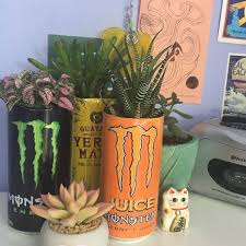 monster energy cans in room decor