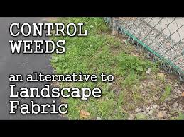 Sheet Mulching For Weed Control