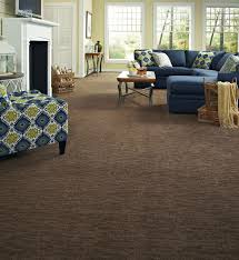 tuftex anso carpet contemporary