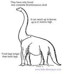 Brachiosaurus Facts For Kids