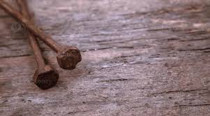 two old rusty nails rest on a wooden