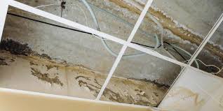 Commercial Roof Leak Repair Guide Sunvek