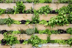 What Is A Vertical Garden The Ultimate