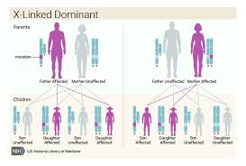 I know about xx/xy chromosomes, and i know about dominant and recessive genes, but i'm a bit rusty about the. What Are The Different Ways A Genetic Condition Can Be Inherited Medlineplus Genetics