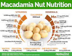 macadamia nut herbazest
