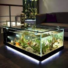 glass fish tanks aquarium coffee table