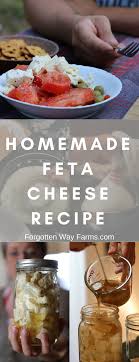 making homemade feta cheese recipe