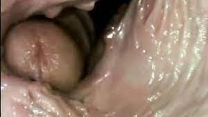 Dick endet in der Vagina: Nahaufnahme von innen - - Porno Video Online
