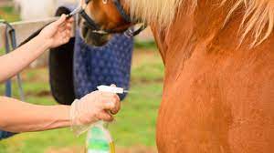 natural insect repellents for horses