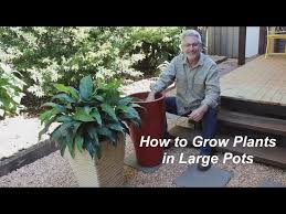 Growing Plants In Large Pots You
