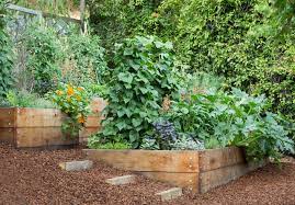 10 Steps To Get Your Edible Garden Started