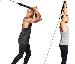 15 best triceps workouts and exercises