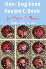 raw dog food recipes tips for dogs
