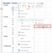 how to sort a pivot table in excel 6