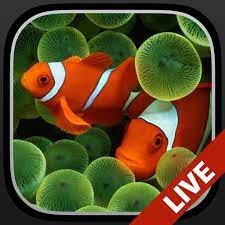 aquarium dynamic wallpapers app