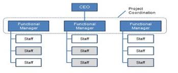 Organizational Structure Definition Human Resources Hr
