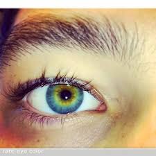 Youreyecolour Green Eye Colour A Rare Human Eye Colour
