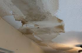 roof leakage waterproofing services at