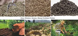sheep manure fertilizer pellet making